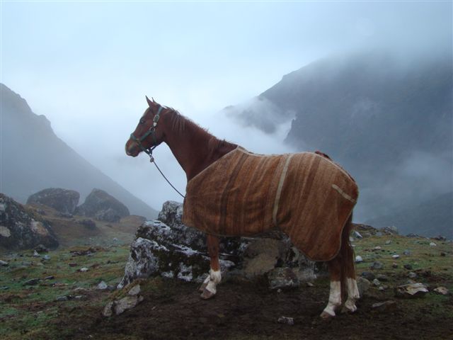 10 Day Ride to Machu Picchu, Peru 